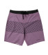 Mystic Prism Boardshort