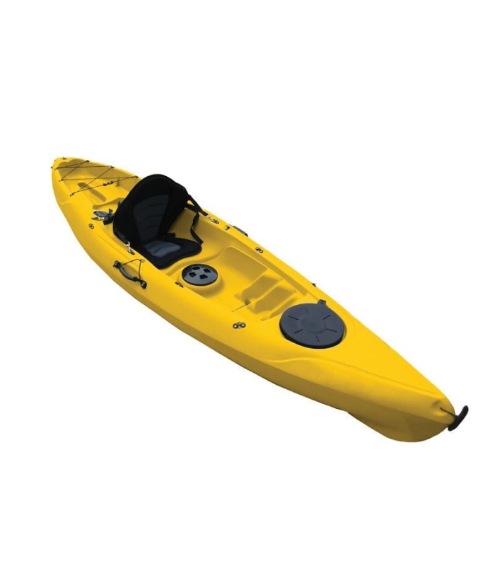 Seastar Ambush Yellow