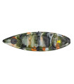 Seastar Ray Camo Green