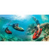 Seabob F5 Rental