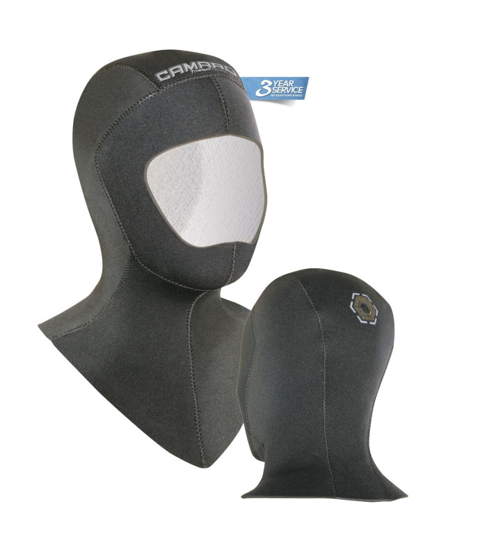 Camaro Arctic Hood 5.0