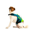 Jobe Pet Vest Lime Teal
