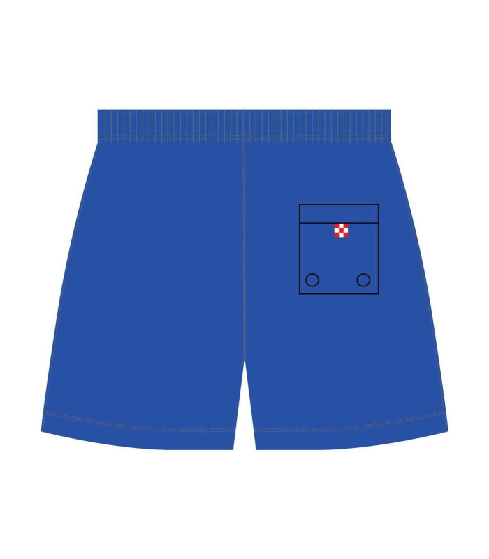 Bee Unusual Monochrome Swim Shorts Blue