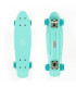 Fish Skateboards Mini Cruiser Plastic Skateboard 22.5'' with LED wheels