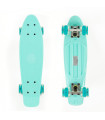 Fish Skateboards Mini Cruiser Plastic Skateboard 22.5'' with LED wheels