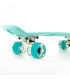Fish Skateboards Mini Cruiser Plastic Skateboard 22.5'' with LED wheels