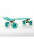 Fish Skateboards Mini Cruiser Plastic Skateboard 22.5'' with LED wheels