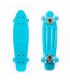 Fish Skateboards Mini Cruiser Plastic Skateboard 22.5'' with LED wheels