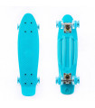 Fish Skateboards Mini Cruiser Plastic Skateboard 22.5'' with LED wheels