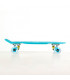 Fish Skateboards Mini Cruiser Plastic Skateboard 22.5'' with LED wheels