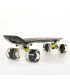 Fish Skateboards Mini Cruiser Plastic Skateboard 22.5'' with LED wheels