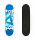 Fish Skateboards Skateboard 31'' Blue Triangle