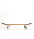 Fish Skateboards Skateboard 31'' Elegant