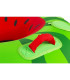 HO Sports Watermelon Towable Tube