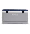 Igloo Maxcold Latitude 100